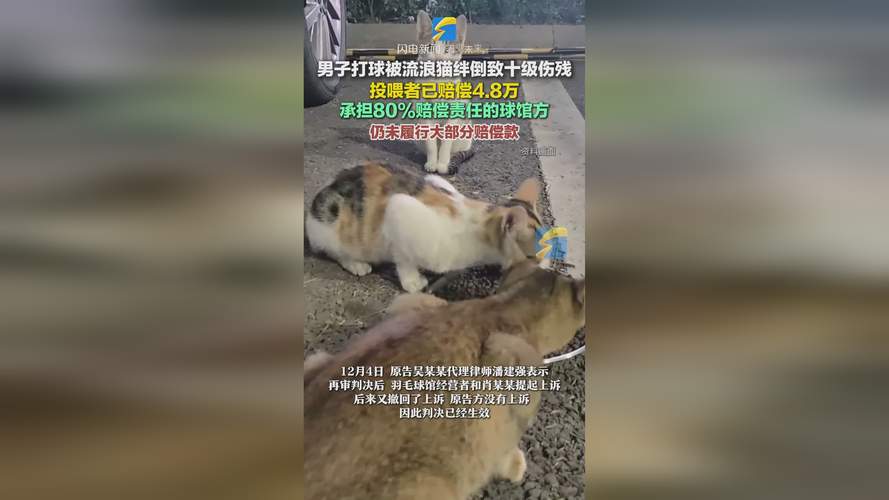 香港澳门 第53页