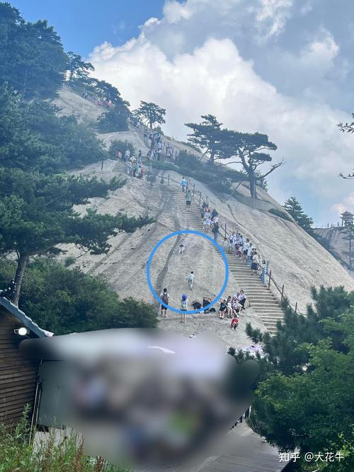 生活资讯 第48页
