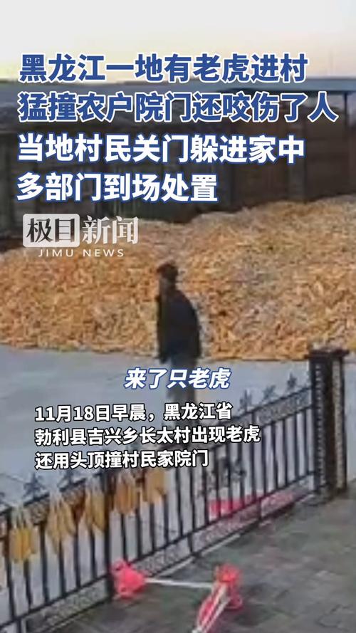 全国新闻 第36页