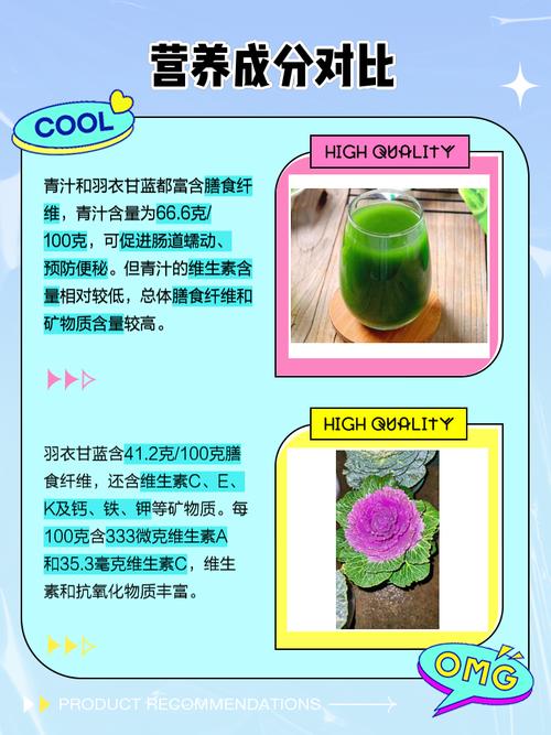 地方关注 第32页