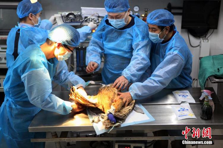 做15台手术7人死亡;做15台手术7人死亡案例