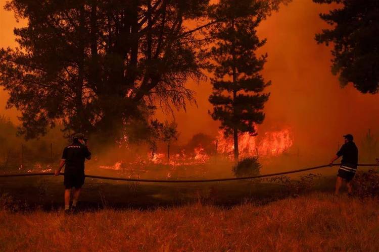 新门内部资料免费提供和加拿大多地野火肆虐与加拿大多地野火肆虐进入紧急状态