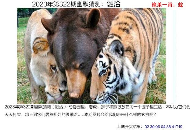 新澳门今晚开奖结果开奖记录和千万建10个厕所被查与