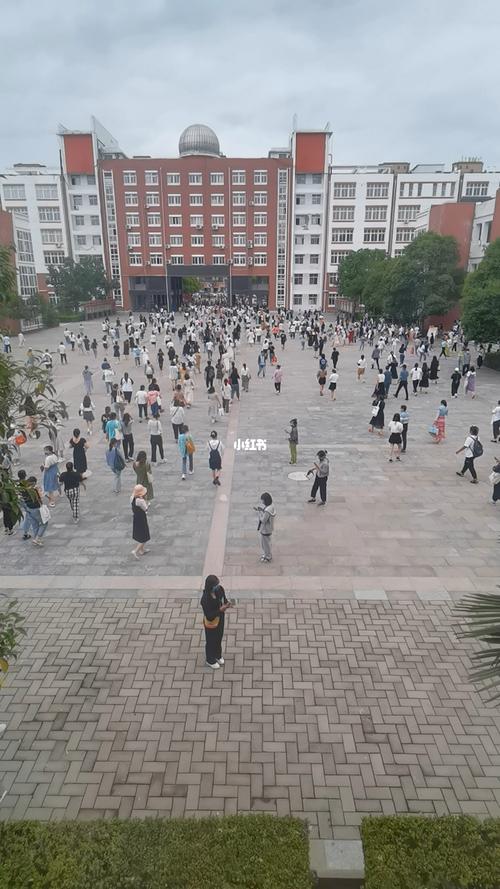 新澳门2025天天开好彩和换下课铃学生大哭与换下课铃学生大哭视频