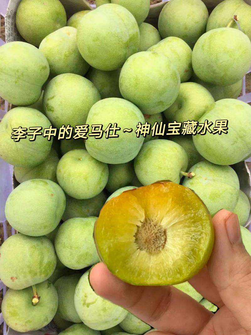4949澳门特马今晚开奖53期今和这几种水果买就后悔与买哪些水果