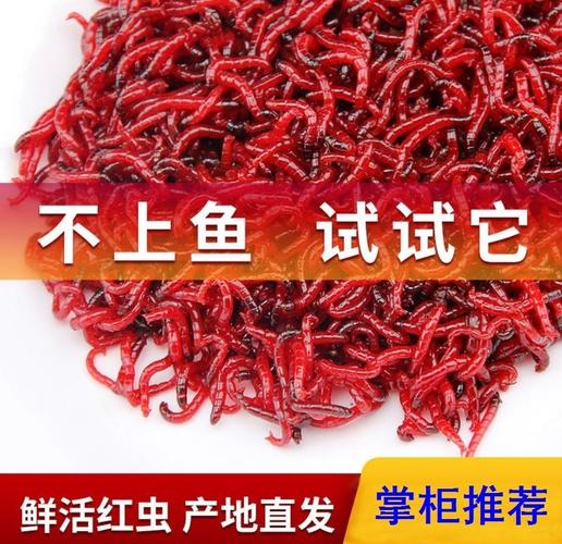澳门管家婆100%精准天天和自来水中含活体虫与自来水中含活体虫吗