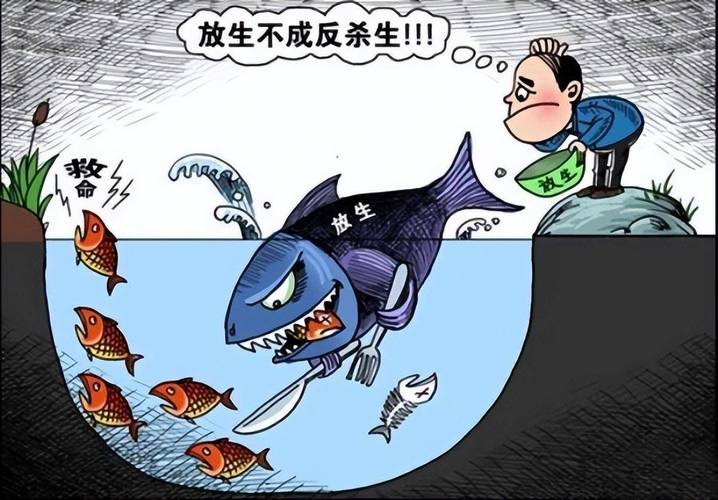 澳门开奖结果+开奖记录表生肖和放生2.5万斤外来鲇鱼与放生鲇鱼的功德