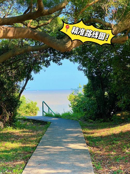 澳门最精准免费资料大全旅游景点和乌全境安全形势严峻与