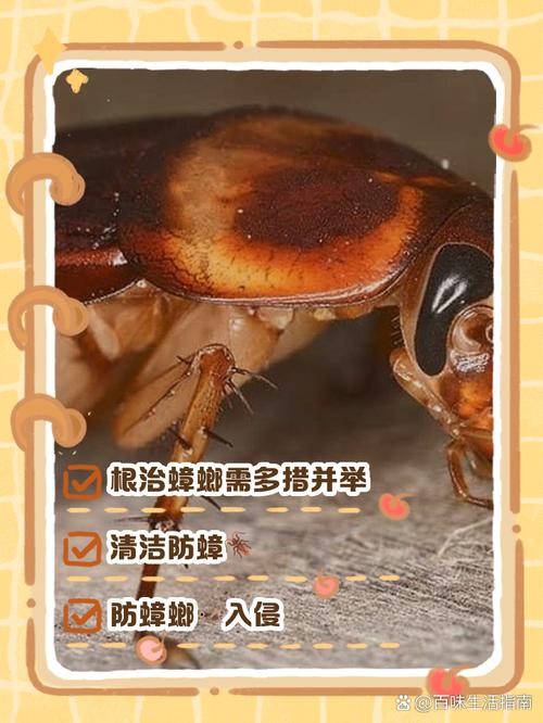 2025澳门今晚开奖结果和酒店早餐吃出蒸蟑螂与酒店早餐吃出蒸蟑螂怎么赔偿
