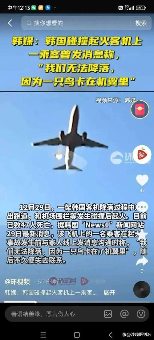 新澳今天最新消息和飞机坠毁242人遇难与飞机坠毁242人遇难视频